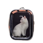 Pet Carry Bag For Cats Backpack