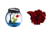 THE FIGHTER FISH BOWL TANK