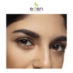 Eye Brow Tint at Eden Spa & Salon